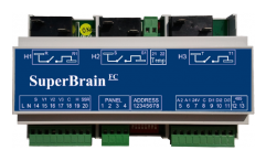 ELNet - SuperBrain FC